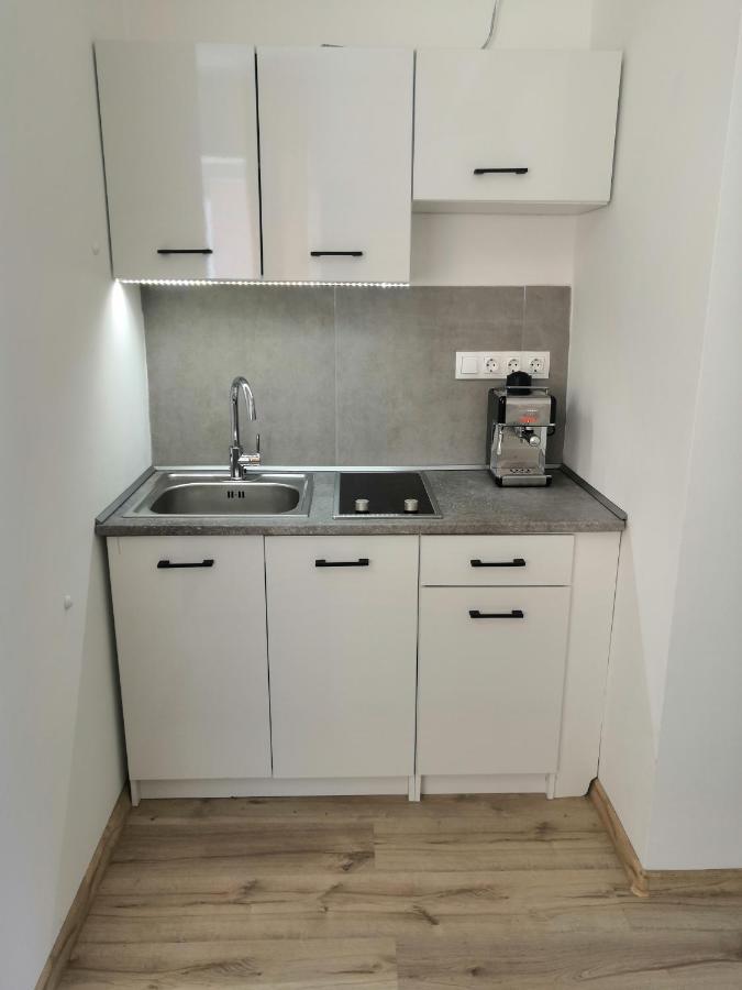 Apartament Bereg Szive Apartman Vásárosnamény Zewnętrze zdjęcie