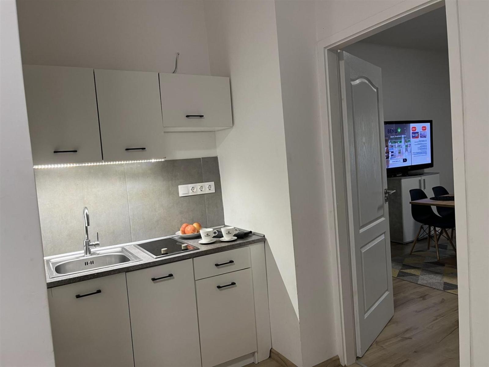 Apartament Bereg Szive Apartman Vásárosnamény Zewnętrze zdjęcie